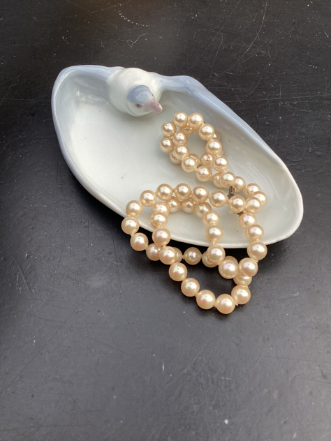 #pfefferporzellan#smykkeskål#måge#mågeifajance#fajancemåge#fajance#indretning#boligindretning#fajanceskål#madeingermany#midmod#paulinekdk#heubach#heubachporzellan #heubachporcelain