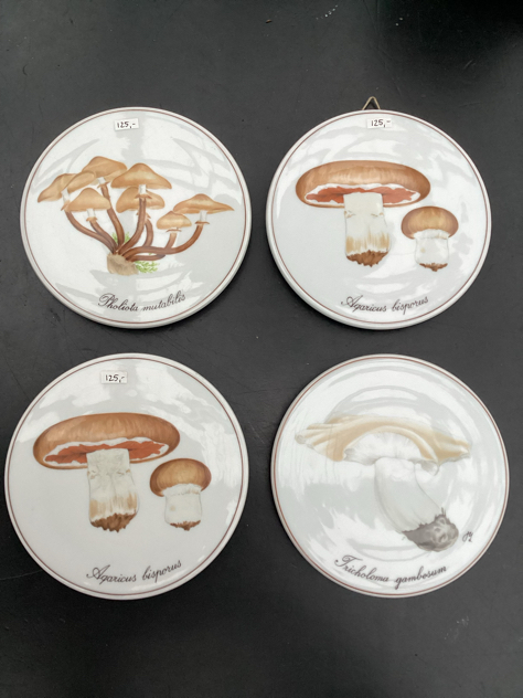 #fogogmorup #smykkeskål#bingoggrøndahl#pogtpendel#holmegaard#designlight#holmegaardpalet#svampeplatte#bingoggrøndahl#johammerborg#spaceage#kelimtæppe#sakselampe#erikhansenlampe#påskepynt#påske2024#toplamper#designlight#holmegaard#lyfasilva#axella#ifö#fajancefugl#södahl#hornlamp#louispoulsen#indretning#belysning#midmod#danishdesign#vejle#paulinekdk