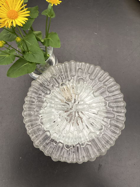 #paulinekdk #plafondmedperlemor #danishdesign#perlemorseffekt#plafond messing skalalampvintagelamp brass danishdesign midcenturymodern danishmodern tilsalg sælges forsale loppefund genbrug midmod classic interiordesign homedecorvejlepaulinekdk